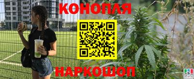 гидропоника Ачхой-Мартан