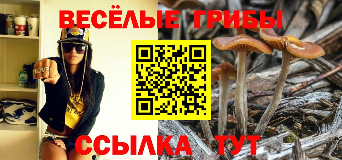 Псилоцибиновые грибы Magic Shrooms Кушва